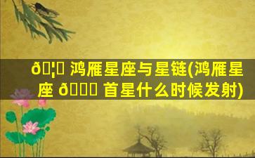 🦄 鸿雁星座与星链(鸿雁星座 🍁 首星什么时候发射)